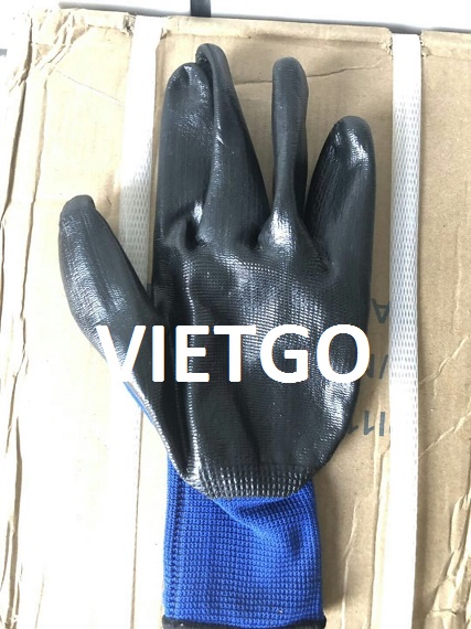 vietgo-xuất-khẩu-găng-tay-Dubai